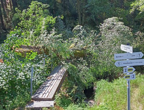 Steg Waldnaabtal gesperrt