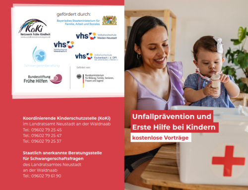 Vortragsreihe Kindergesundheit „Unfallprävention und Erste Hilfe für Kinder“